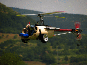 in der freien Wildbahn